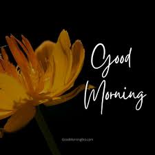 Maybe you would like to learn more about one of these? 40 Good Morning Flower Images Photos Hd 2021