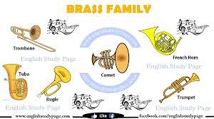 The evolution, mechanisms, and playing methods of a range of instruments. Musical Instruments In English English Study Page