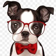 The lesson will be rather simple, but you may come across some difficulty along the way if you are a beginning artist. Boston Terrier Png Images Pngwing