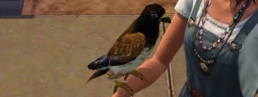 Pets. here are some helpful tips to get them to breed faster. The Sims 3 Pets Minor Animals Wild Horses And Birds