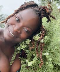 Oregano flowers attract bees in summer