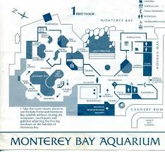 Monterey Bay Aquarium Monterey Ca Love Love Love Impressive Kelp Forest Jellyfish Exhibit Touch Pool Sea Monterey Bay Aquarium Monterey Bay Kelp Forest