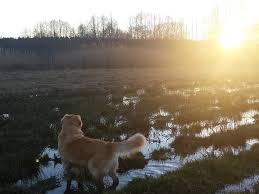 Based in minneapolis, minn., it offers kitten kindergarten for kittens' ages eight to twelve weeks. Edina Pets Edina Mn Patch