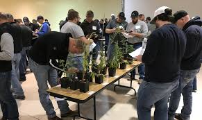 Applicators may obtain two cca credits in the integrated pest management category. Crop Scout Training For Pest Managers March 5 Cropwatch University Of Nebraska Lincoln