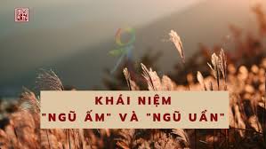 Khái Niệm Ngũ Ấm Và Ngũ Uẩn - Lý Gia