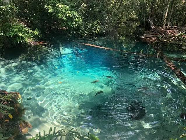 Nobres, para&iacute;so das &aacute;guas cristalinas