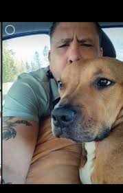 Lost dog spotted in Snohomish County near evergreen way, holly, and Dorn Ave