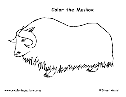 40+ musk ox coloring pages for printing and coloring. Musk Ox Coloring Page