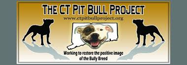 Meriden humane society animal shelter & rescue facility. Ct Pit Bull Project Home Facebook