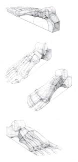 Anatomi Kemikler 17 Anatomy Bones 17 Anatomi Anatomy Referans Reference Drawing Draw Sketch Eskiz Desenho De Pes Referencia Anatomia Desenho Pes