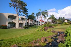 Palms at WaileaImage