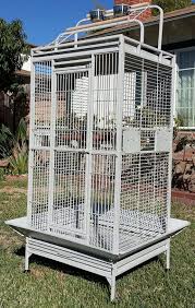 Bird Cage Seed Guard Metal Large Wrought Iron Double Ladders With Open Close Play Top Bird Parrot Cage Include Metal Seed Guard And Play Top Large Bird Cages Parrot Cage Bird Houses
