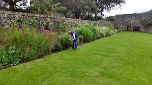 Maybe you would like to learn more about one of these? Flora Alba Scottish Flower Grower Collective
