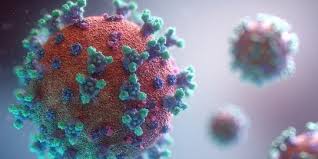 Hepatitis delta virus clade 1 (m21012), species hepatitis delta virus, genus deltavirus. Gejala Utama Jika Terpapar Virus Corona Varian Delta Vaksin Masih Bisa Melindungi Merdeka Com