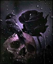 Skull Raven Black Rose Beautiful Dark Art Gothic Pictures Skull Art