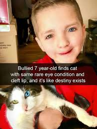 How wonderful ❤️