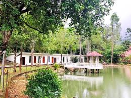 Start planning for teluk bahang. Eco Capsule Resort At Teluk Bahang Penang Preise Fotos Bewertungen Adresse Malaysia