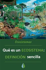 Un ecosistema urbano en cambio es un entorno creado por el hombre. Que Es Un Ecosistema Para Ninos Definicion Funcionamiento Tipos Y Mas Ecosistemas Maquetas De Ecosistemas Tipos De Ecosistemas