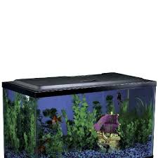 Aqua Culture 10 Gal Fish Tank Hood With Led Light For Sale Online Ebay