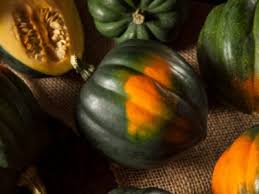 I have used little twigs to plug up the holes from pruned leaf stems & dead flower stems, attempting to block the squash vine borers, and i have done pick it small for zucchini substitute but the big ones that escape notice and turn yellow still make a decent winter squash. Growing Acorn Squash How To Grow Acorn Squash