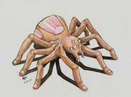 Dnd wolf spider