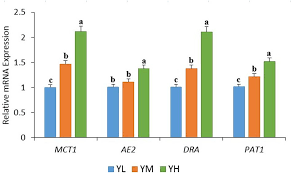 Ann tan & associates legal practice started in 1984. Frontiers Effects Of Dietary Energy Levels On Rumen Fermentation Microbial Diversity And Feed Efficiency Of Yaks Bos Grunniens Microbiology