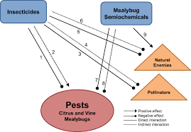 Santa fé, nm 87501, usa. Vine And Citrus Mealybug Pest Control Based On Synthetic Chemicals A Review Springerlink