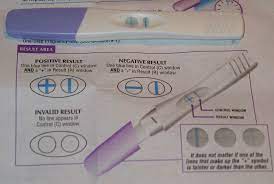 Pregnancy Test No Lines In Control Window Pregnancy Test