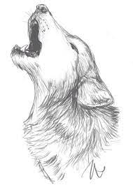 Wolf Drawing Idea Wolfdrawing Ilham Veren Sanat Cizim Fikirleri Hayvan Eskizleri Kurt resmi nasil cizilir karakalem cizimi calişmasi hayvan cizimi kara kalem kurt cizimi, ➤ not: wolf drawing idea wolfdrawing ilham