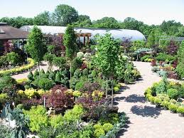 Pin On Plant Nursery