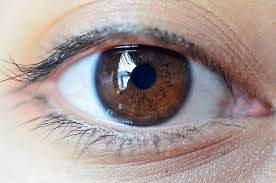 But modern science has shown that eye color is not that simple. The World S Population By Eye Color Worldatlas