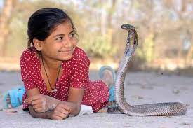 Those kinds of stories that make you amazed, and make you learn from those animals. Can A Cobra Protect Puppies