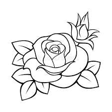 We did not find results for: Black White Rose Drawing Stock Illustrations 22 344 Black White Rose Drawing Stock Illustrations Vectors Clipart Dreamstime