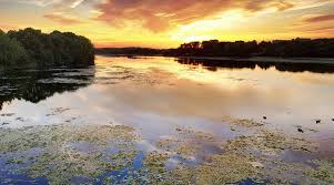 Mystic River Reservation - All You SHOULD Know Before Going 2026 (with  Reviews)