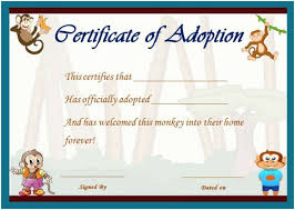 Choose one of the certificate design templates in the free online certificate maker and add your personal style. Frame Certificates Funny Fake Birth Certificate