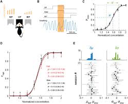 Sniff Invariant Odor Coding Biorxiv