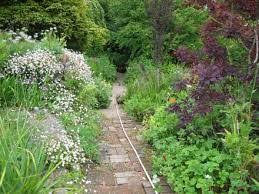 Carol Klein S Garden Glebe Cottage Cottage Garden British Garden Garden Design