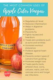 Kombucha Vs Apple Cider Vinegar Which Fermented Drink Is The Best Apple Cider Vinegar Remedies Apple Cider Vinegar Benefits Apple Cider Benefits