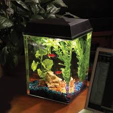 Amazon Com Api Aquaview Corner Aquarium Kit With Led Lighting And Internal Power Filter 2 1 X2f 2 Gallons Fi Corner Aquarium Betta Fish Tank Aquarium Kit