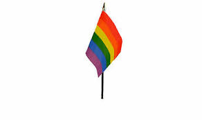 We did not find results for: Trixes 15pc Regenbogen Stolz Winkender Polyester Flaggen 21cm X 14 Cm Fur Lgbt Memorabilia Sammeln Seltenes