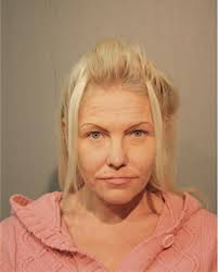 ᐅ Illinois Criminal Records 2009-2026