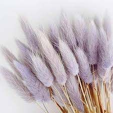 Purple flowers are stunning (imho). Amazon Com Brxy 50pcs Home Decoration Lagurus Ovatus Rabbit Tail Dried Flowers Real Flower Eternal Flower Dr Dried Flowers Dried Flower Bouquet Grass Flower