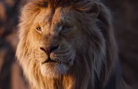 See more of scarface the lion on facebook. The Lion King 22 Memes About Mufasa Dying All Over Again