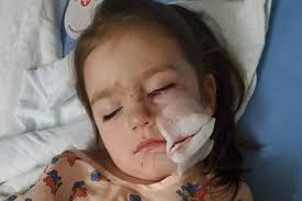 Fundraiser for Josh Koltun by Rachel Patrick : Kylie and Family Medical  Expense Fund