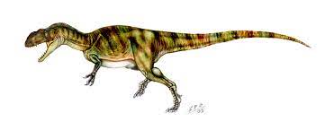 When yangchuanosaurus lived yangchuanosaurus lived during the late jurassic period to diet yangchuanosaurus was a carnivore, a meat eater. Yangchuanosaurus Dinosaur Facts Information Yangchuanosaurus Challengeri