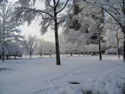 Winter Simple English Wikipedia The Free Encyclopedia See more ideas about winter scenes, winter wonder, winter beauty. winter simple english wikipedia the