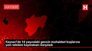 Vefa Grubu Kuslarina Yem Getirdi 2020 Komik Hece Alayci Sozler