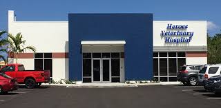 We did not find results for: Heroes Veterinary Hospital Veterinarian In Oakland Park Fl