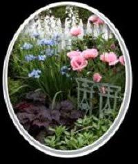 Obituary of Mathias Schuster