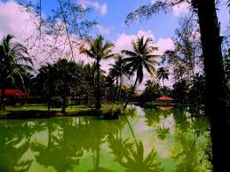 Alamat lpp lembaga pertubuhan peladang menara lpp, no 20, jalan sultan salahudin, 50480 kuala lumpur, tel: Peladang Setiu Agro Resort Hotel Reviews Malaysia Tripadvisor
